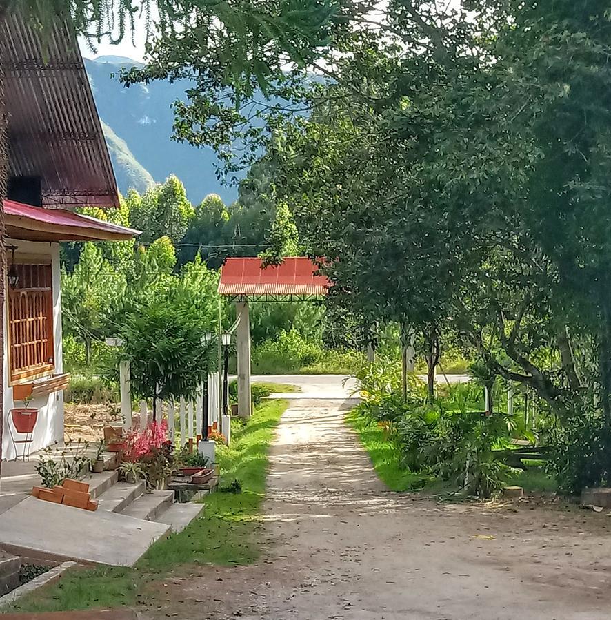 La Cabana De Noa Oxapampa Ngoại thất bức ảnh