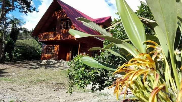 La Cabana De Noa Oxapampa Ngoại thất bức ảnh